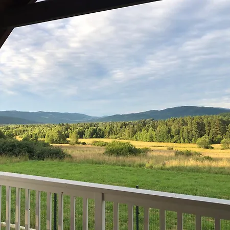 Domki-sopotnia 別荘 *