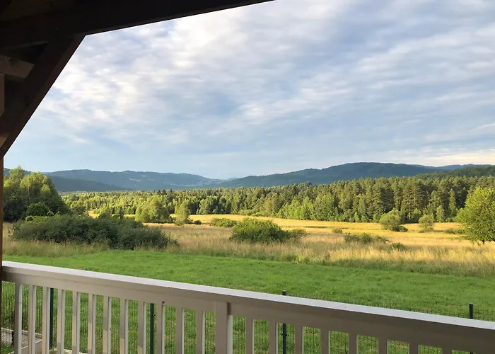 Domki-sopotnia בית נופש *