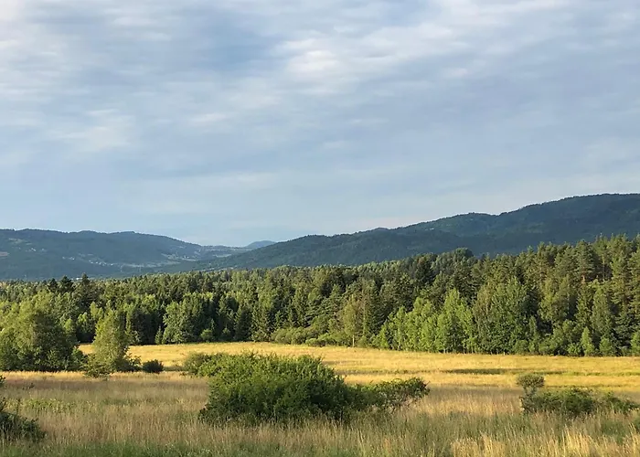 בית נופש Domki-sopotnia Sopotnia Wielka